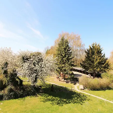 Ostseeresidenz 23 Appartamento Wischuer