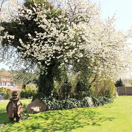 Ostseeresidenz 23 Appartamento *